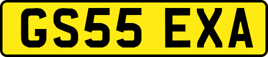GS55EXA