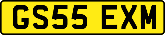 GS55EXM