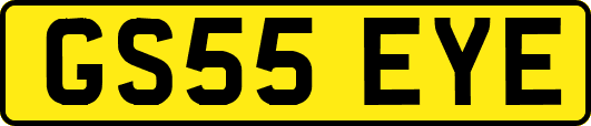 GS55EYE