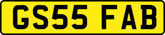 GS55FAB
