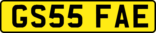 GS55FAE