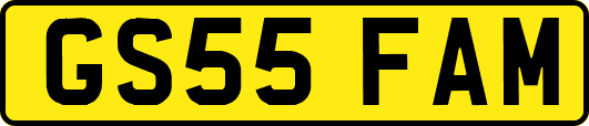 GS55FAM