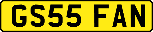 GS55FAN