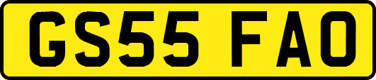 GS55FAO