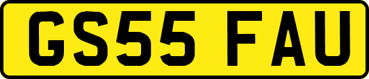 GS55FAU