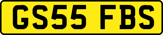 GS55FBS