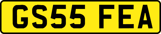 GS55FEA