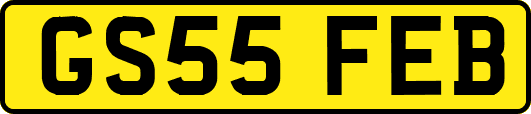 GS55FEB