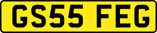 GS55FEG