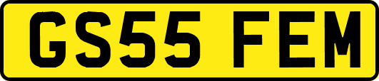 GS55FEM