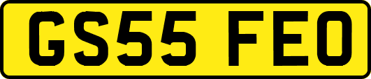 GS55FEO