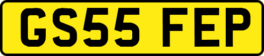 GS55FEP