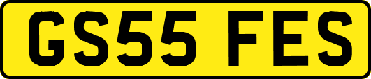 GS55FES