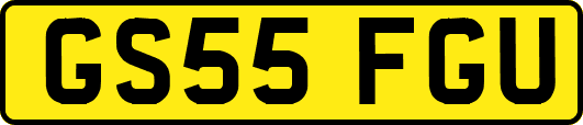 GS55FGU