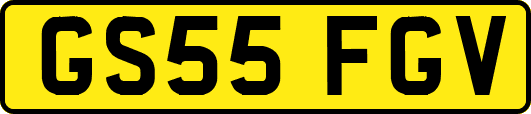 GS55FGV