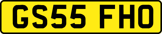 GS55FHO
