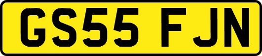 GS55FJN