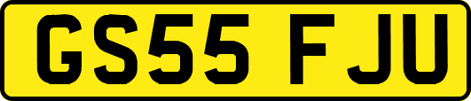 GS55FJU