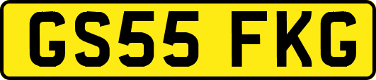 GS55FKG