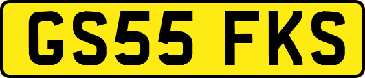 GS55FKS