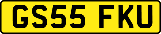 GS55FKU