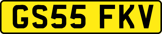 GS55FKV