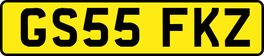 GS55FKZ