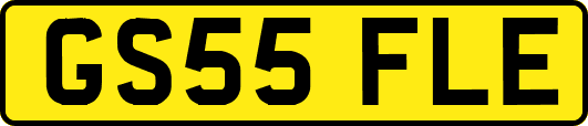 GS55FLE