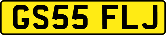 GS55FLJ