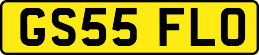 GS55FLO