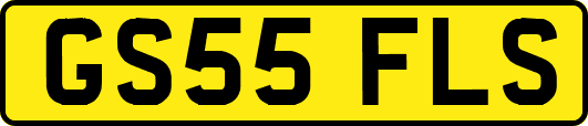 GS55FLS