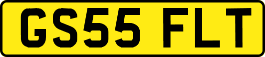 GS55FLT