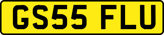 GS55FLU