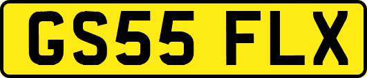 GS55FLX