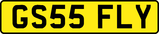 GS55FLY