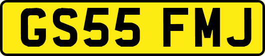 GS55FMJ