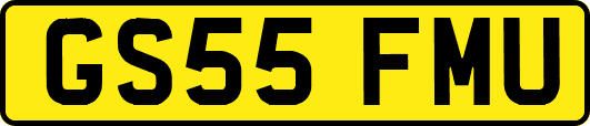 GS55FMU