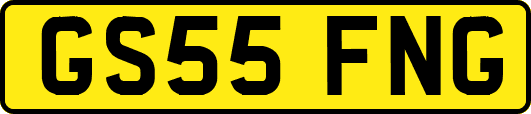 GS55FNG