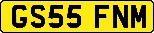 GS55FNM