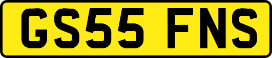 GS55FNS