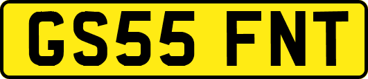 GS55FNT