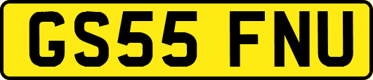 GS55FNU