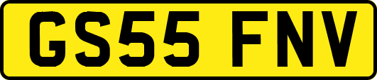 GS55FNV