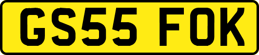 GS55FOK