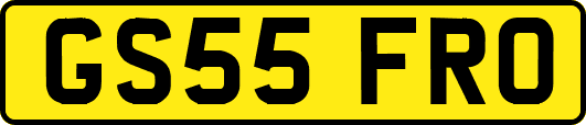 GS55FRO