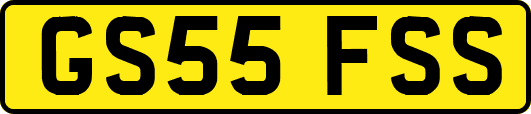 GS55FSS