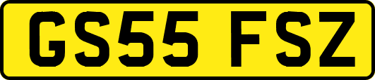 GS55FSZ