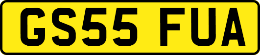 GS55FUA