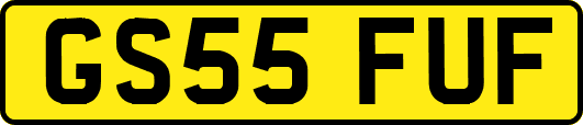 GS55FUF