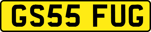 GS55FUG